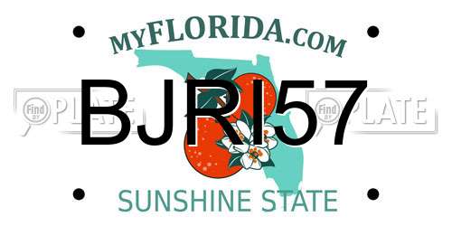 BJRI57 Florida License Plate