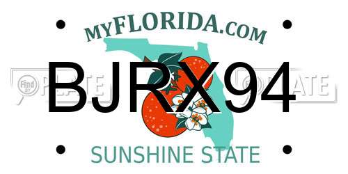 BJRX94 Florida License Plate