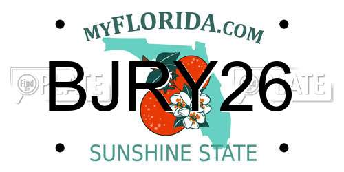 BJRY26 Florida License Plate