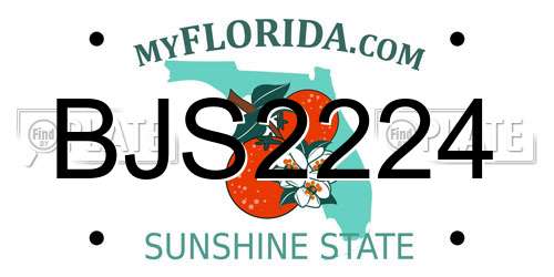 BJS2224 Florida License Plate