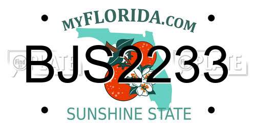 BJS2233 Florida License Plate