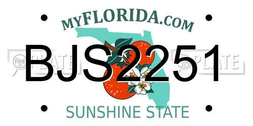 BJS2251 Florida License Plate
