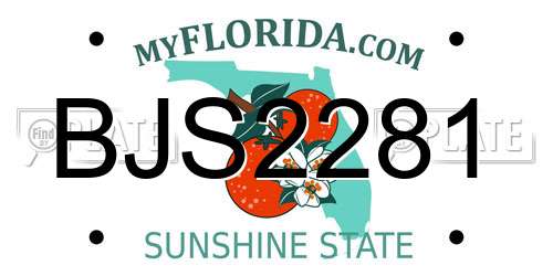 BJS2281 Florida License Plate
