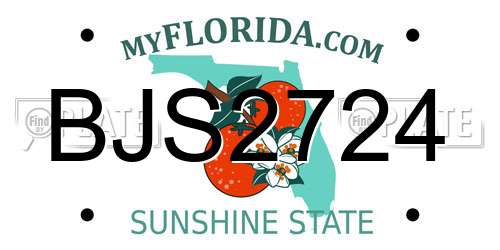 BJS2724 Florida License Plate