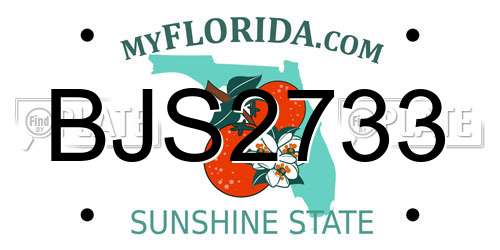 BJS2733 Florida License Plate