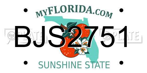 BJS2751 Florida License Plate