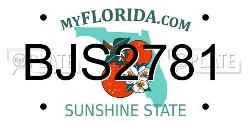 BJS2781 Florida License Plate