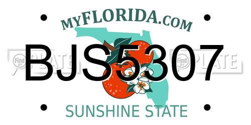 BJS5307 Florida License Plate