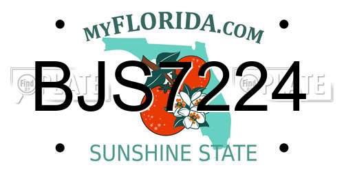 BJS7224 Florida License Plate