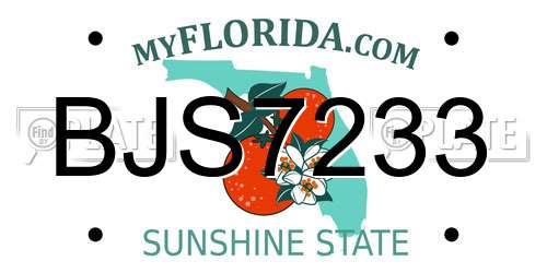 BJS7233 Florida License Plate
