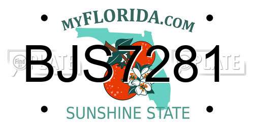 BJS7281 Florida License Plate