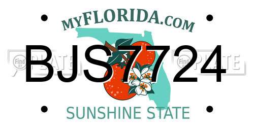 BJS7724 Florida License Plate