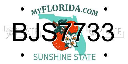 BJS7733 Florida License Plate