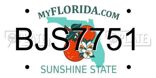 BJS7751 Florida License Plate