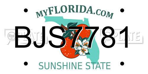 BJS7781 Florida License Plate
