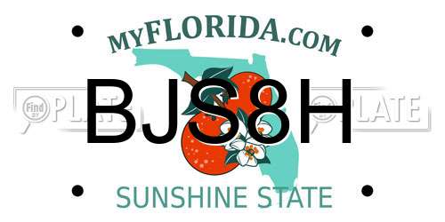 BJS8H Florida License Plate