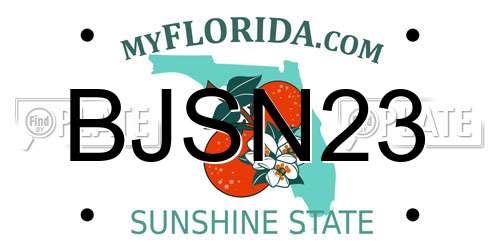 BJSN23 Florida License Plate
