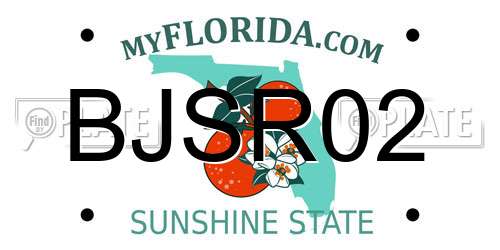 BJSR02 Florida License Plate