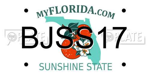 BJSS17 Florida License Plate