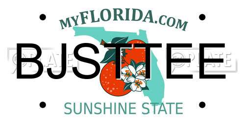 BJSTTEE Florida License Plate