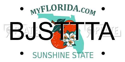 BJSTTTA Florida License Plate