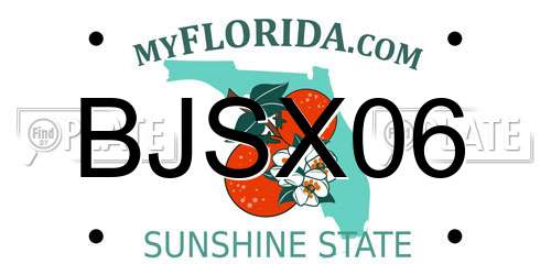 BJSX06 Florida License Plate