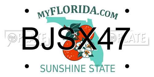BJSX47 Florida License Plate