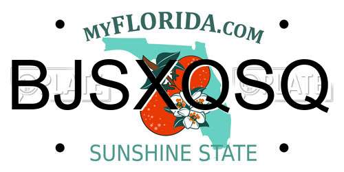 BJSXQSQ Florida License Plate