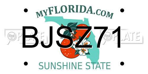 BJSZ71 Florida License Plate