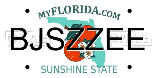 BJSZZEE Florida License Plate