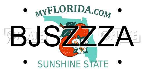 BJSZZZA Florida License Plate