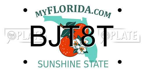 BJT8T Florida License Plate