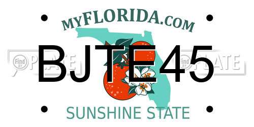 BJTE45 Florida License Plate