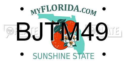 BJTM49 Florida License Plate