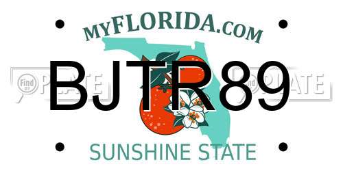 BJTR89 Florida License Plate