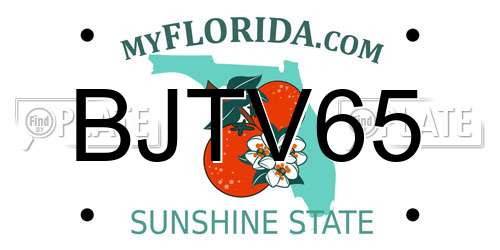 BJTV65 Florida License Plate