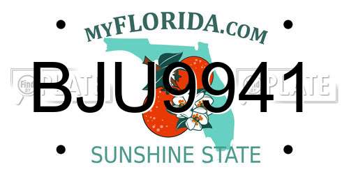 BJU9941 Florida License Plate