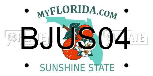 BJUS04 Florida License Plate