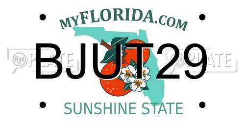 BJUT29 Florida License Plate