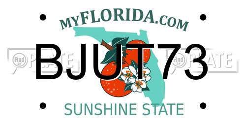 BJUT73 Florida License Plate