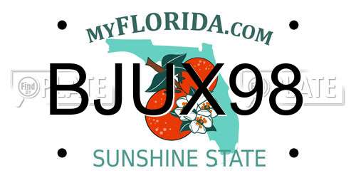 BJUX98 Florida License Plate