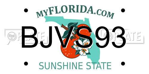 BJVS93 Florida License Plate