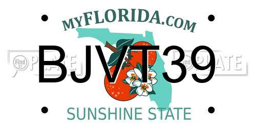 BJVT39 Florida License Plate