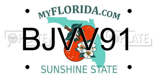 BJVV91 Florida License Plate