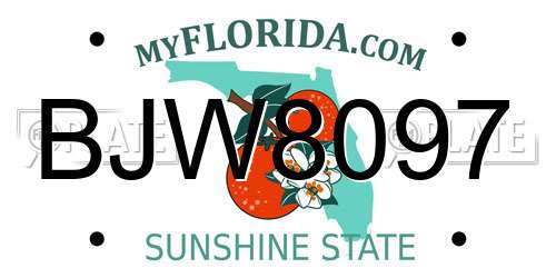 BJW8097 Florida License Plate