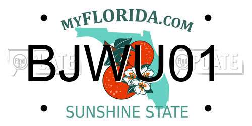 BJWU01 Florida License Plate