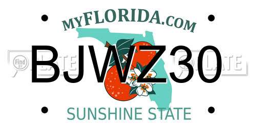 BJWZ30 Florida License Plate