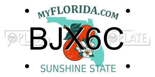 BJX6C Florida License Plate