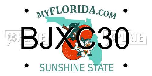 BJXC30 Florida License Plate