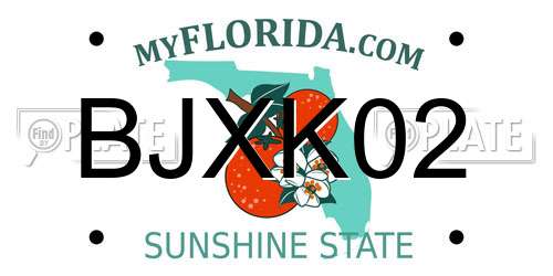 BJXK02 Florida License Plate